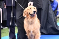 ミル役のライズ。