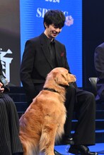 長谷川博己の太ももに顎を乗せるミル役のライズ。