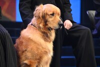 ミル役のライズ。