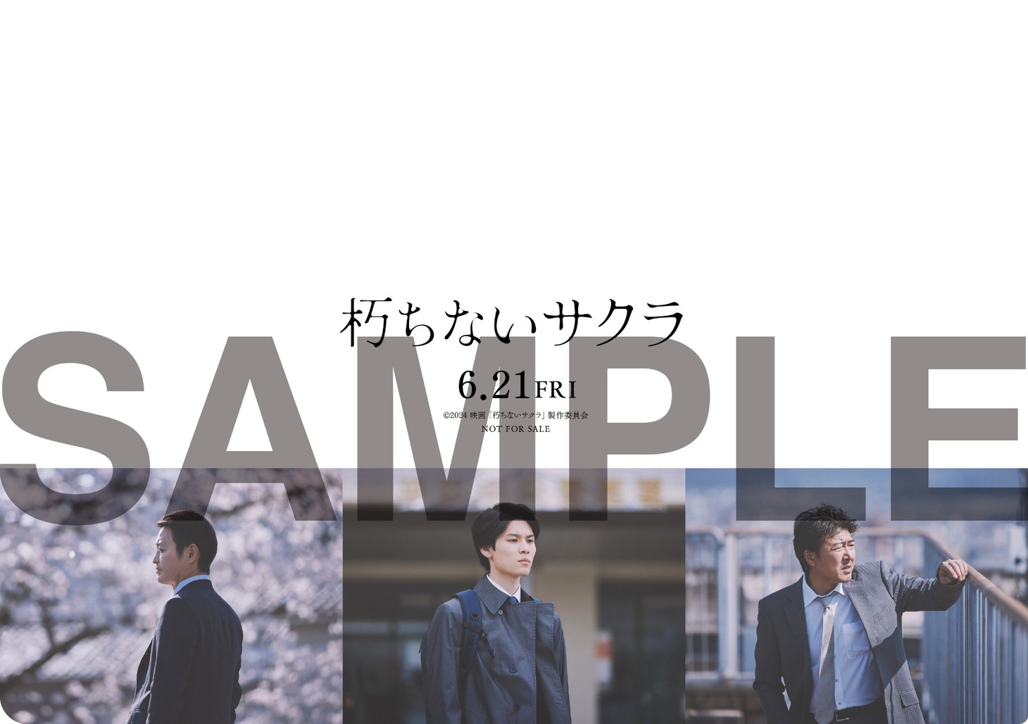 「朽ちないサクラ」前売り特典のオリジナルA5クリアファイル。