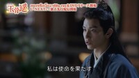 中国ドラマ「玉骨遥（ぎょっこつよう）」より。