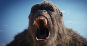 映画「ゴジラxコング 新たなる帝国」場面写真