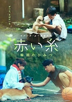 「赤い糸 輪廻のひみつ」ポスタービジュアル（お犬映画ver.）