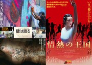 「VIVA SAURA！」チラシビジュアル