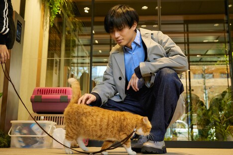 ドラマ「東京タワー」メイキング写真