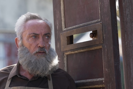 「お隣さんはヒトラー？」場面写真