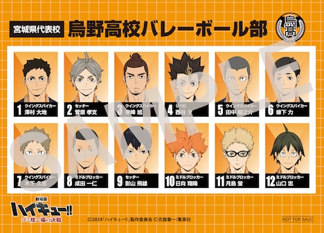 入場者プレゼント第6弾「選手名鑑風ブロマイド」より、烏野高校バレーボール部。