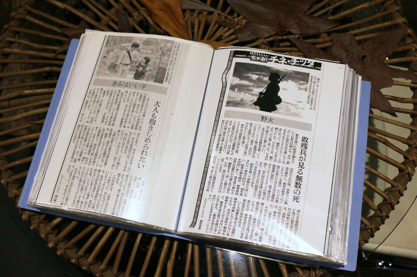 朝日新聞（熊本版）に掲載された映画紹介コラムの切り抜きファイル。