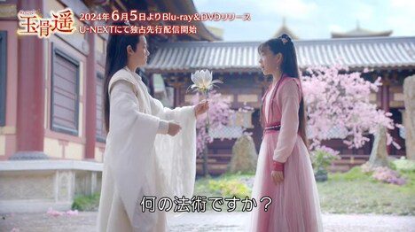 中国ドラマ「玉骨遥（ぎょっこつよう）」第1回より。
