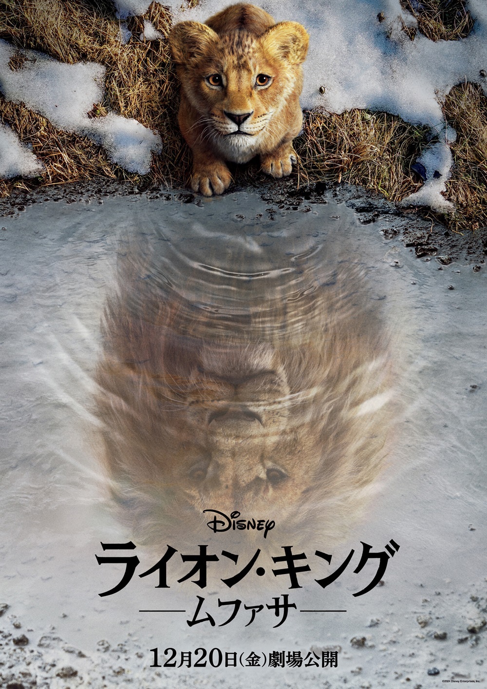 「ライオン・キング：ムファサ」ポスタービジュアル