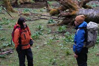 「告白 コンフェッション」場面写真