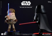 SML STAR WARS 03 LUKE SKYWALKER（左・税込1万3200円）