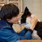 「明日を綴る写真館」おりこうワンちゃんが佐野晶哉とじゃれ合う、平泉成にも果敢にグイグイ