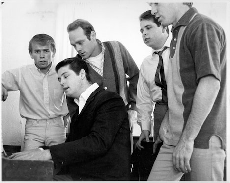 「ビーチ・ボーイズ:ポップ・ミュージック・レボリューション」場面写真