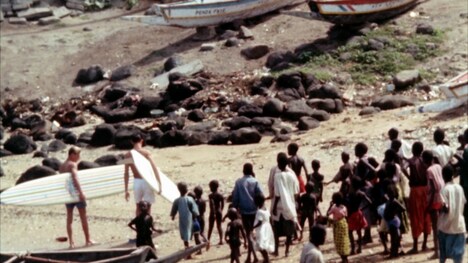 「エンドレス・サマー」場面写真