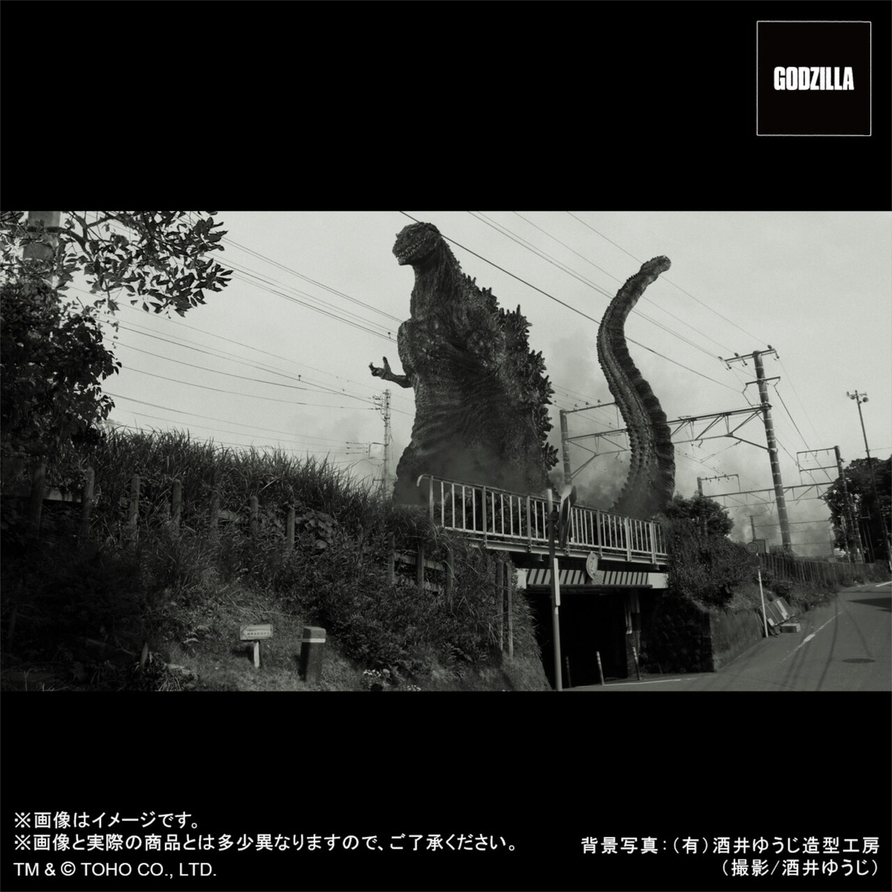 東宝30cmシリーズ 酒井ゆうじ造形コレクション ゴジラ（2016）オルソ