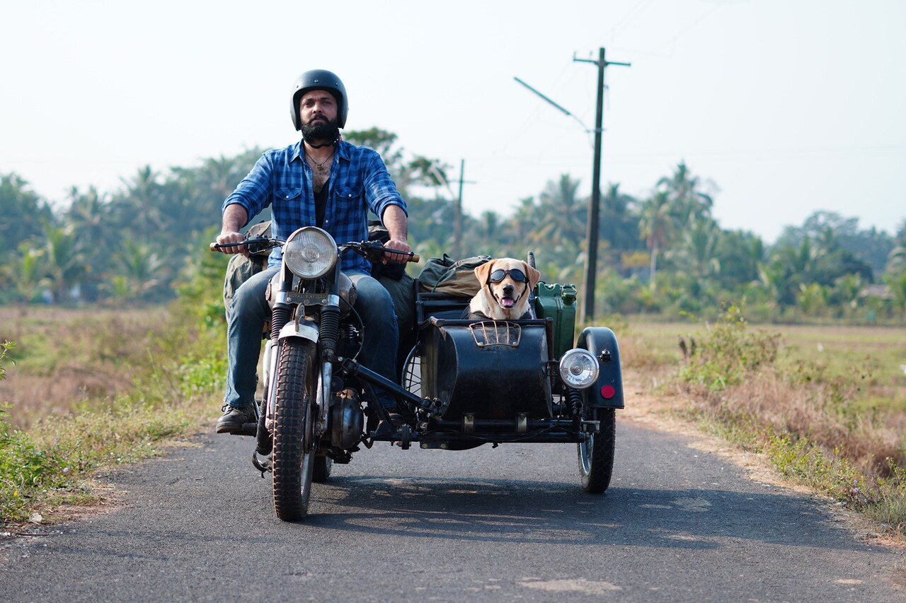 俺も愛してる、孤独な男が愛犬とインド縦断の旅に出る「チャーリー」本予告