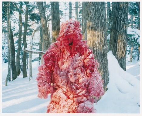 「Shari」ビジュアル(Photo by Naoki Ishikawa)