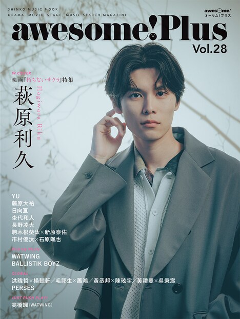 awesome! Plus Vol. 28のカバービジュアル。