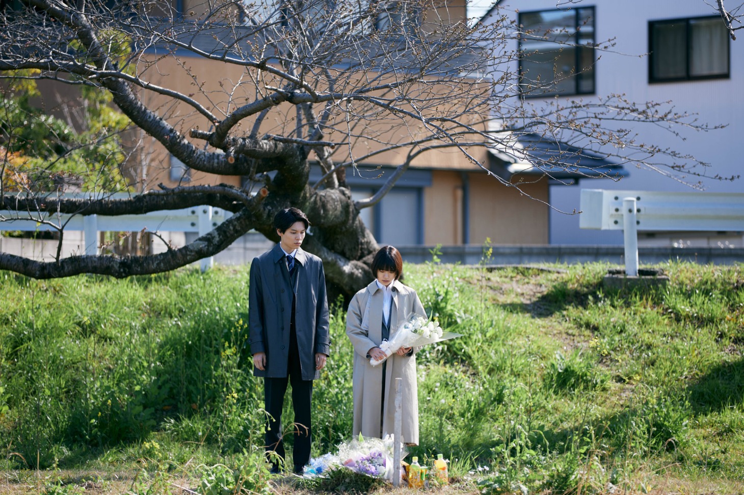 「朽ちないサクラ」場面写真