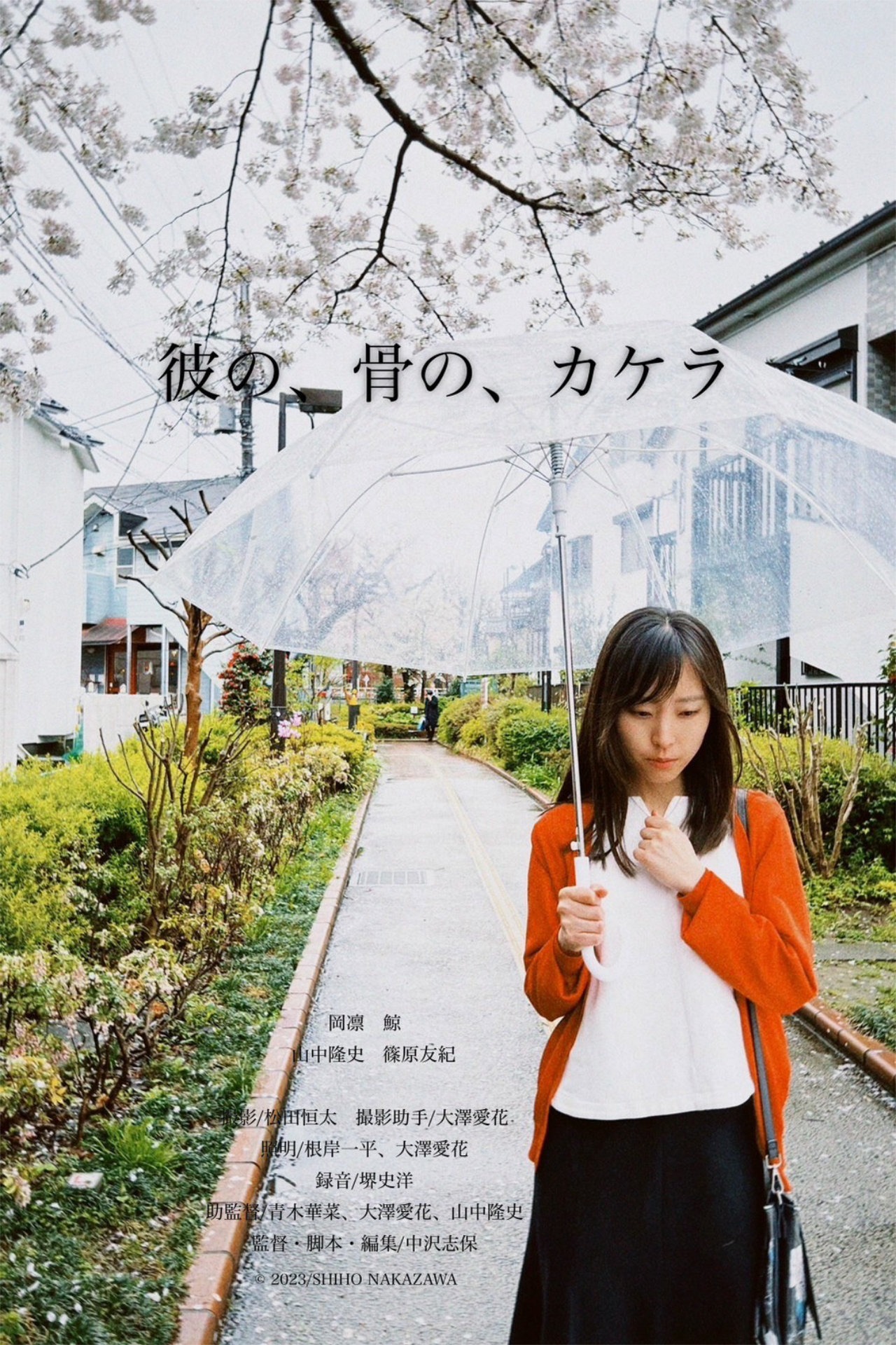 「彼の、骨の、カケラ」ビジュアル