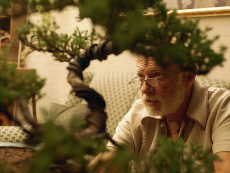 「夏の終わりに願うこと」新場面写真