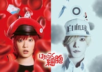 「はたらく細胞」のキャラクタービジュアル。左から永野芽郁演じる赤血球、佐藤健演じる白血球。