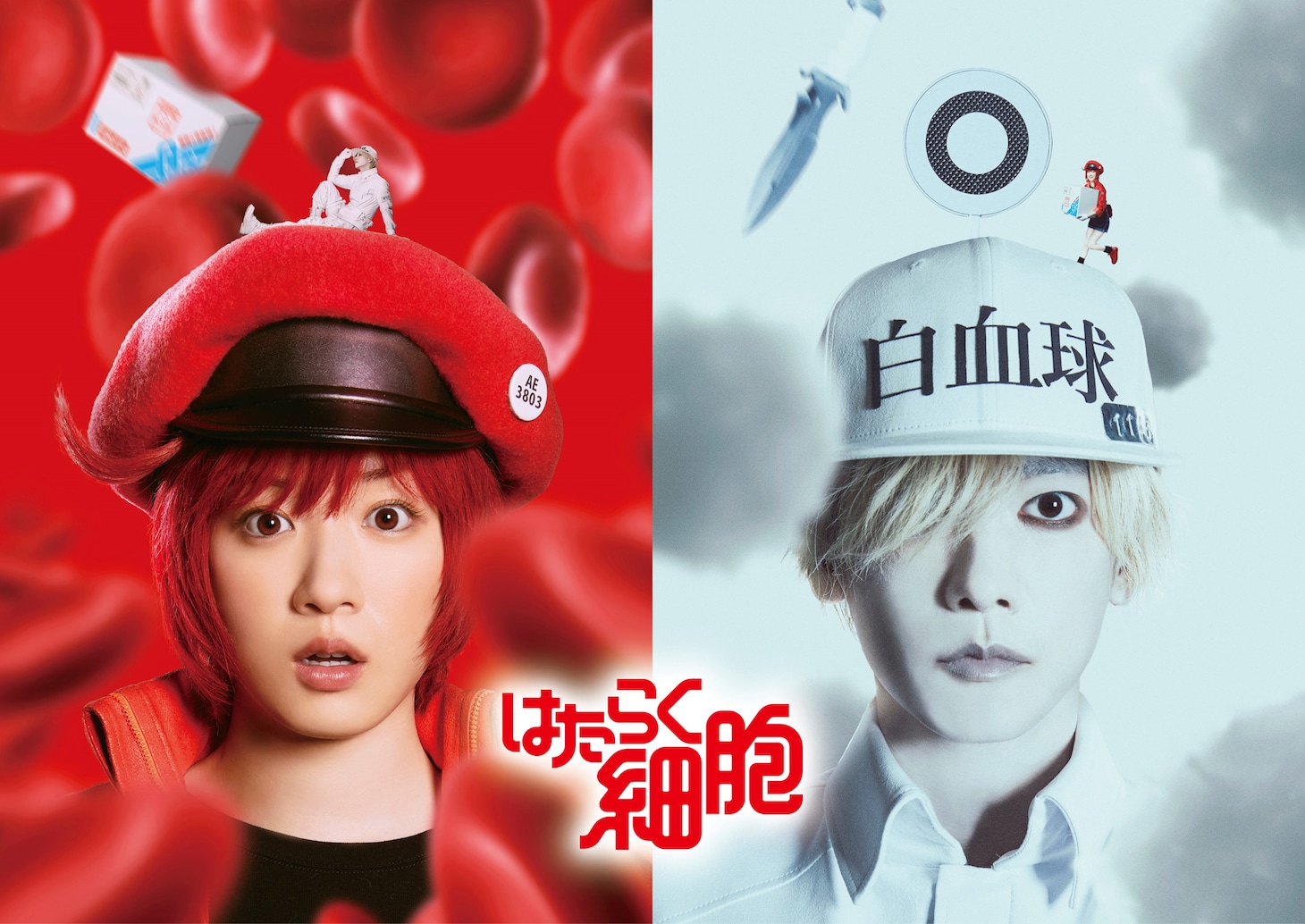 「はたらく細胞」のキャラクタービジュアル。左から永野芽郁演じる赤血球、佐藤健演じる白血球。