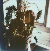 「君の住む街 復刻版」より、小松菜奈。