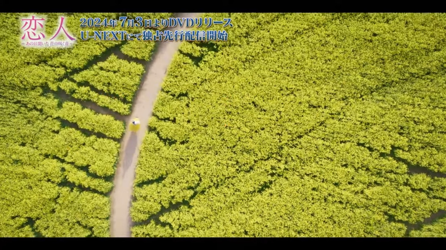 「恋人～あの日聞いた花の咲く音～」より。