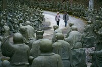 「連続ドラマW 完全無罪」場面写真