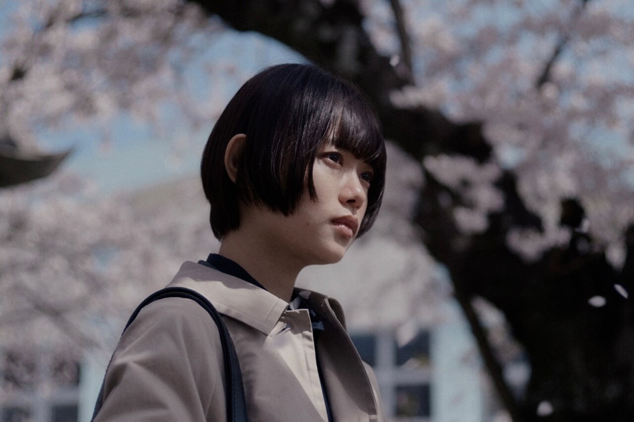 杉咲花、萩原利久ら出演「朽ちないサクラ」約3分で予習できる解説映像が公開中