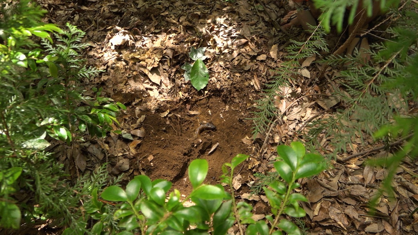 「うんこと死体の復権」場面写真