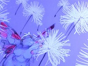 「風が吹くとき」場面カット