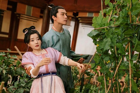 中国ドラマ「笑門来福～イケメン同居人は私のフィアンセ!?～」場面写真