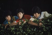 「シブがき隊 ボーイズ＆ガールズ」場面写真 (c)東映