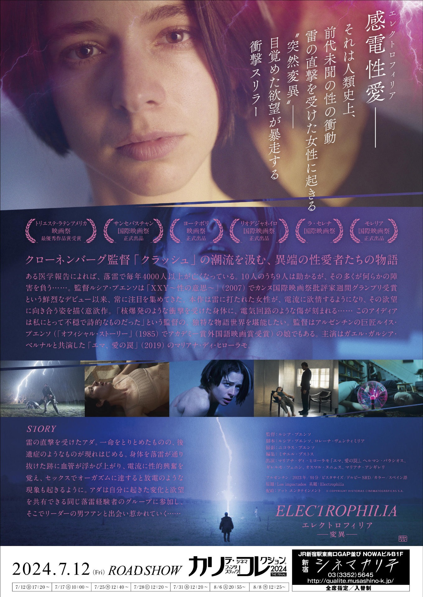 「エレクトロフィリア －変異－」チラシ裏面