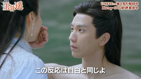 中国ドラマ「玉骨遥（ぎょっこつよう）」より。
