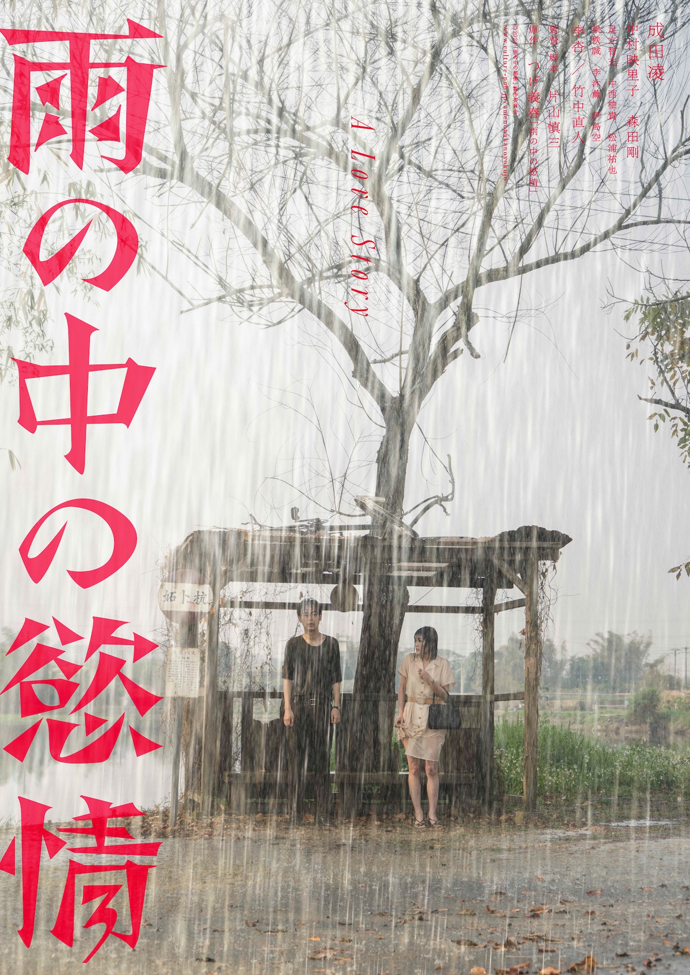 「雨の中の慾情」ティザービジュアルB