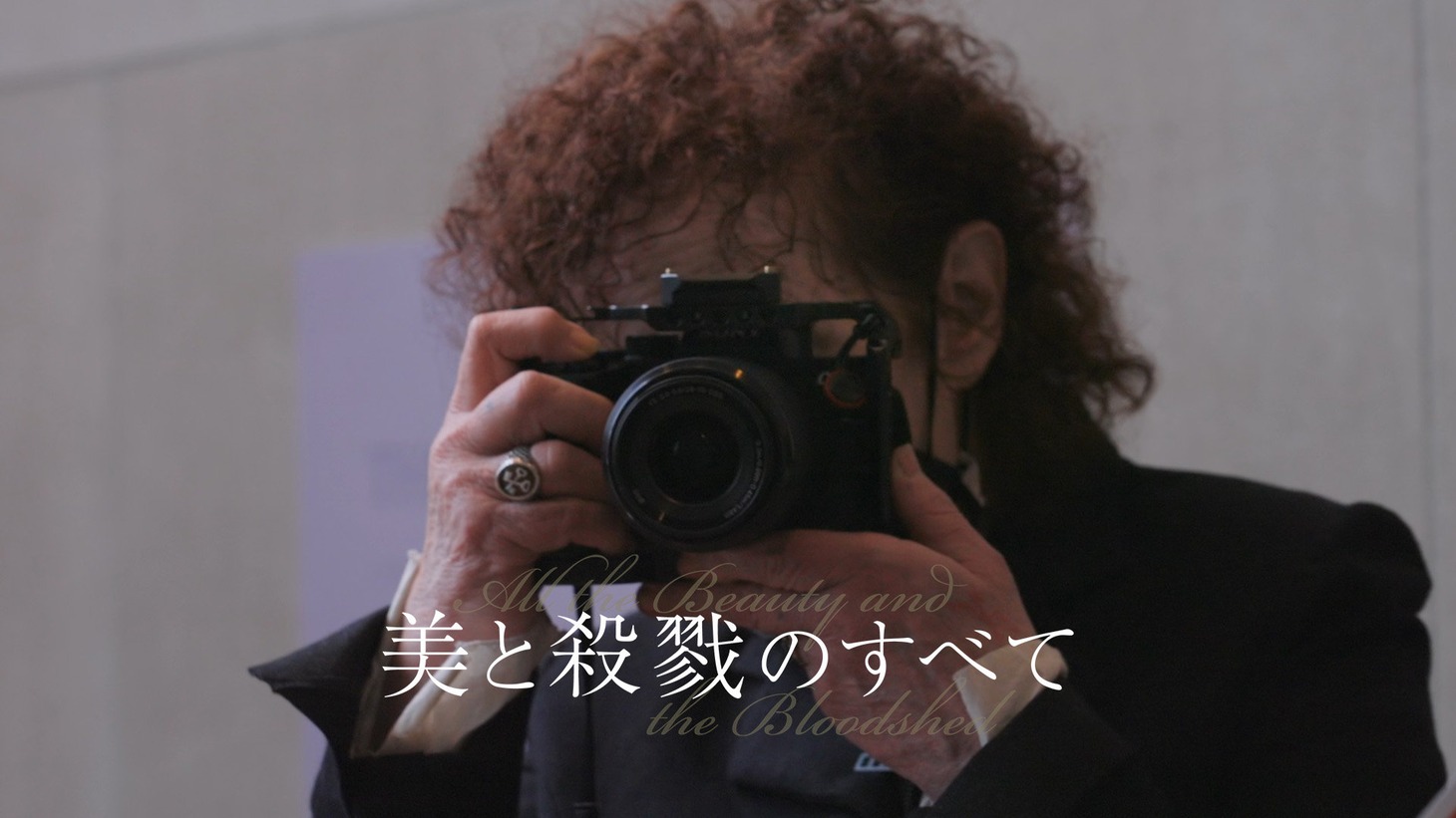 「美と殺戮のすべて」ビジュアル