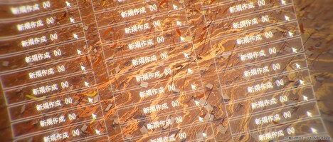 「数分間のエールを」織重夕「未明」MVより。