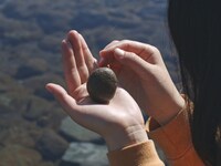 「石がある」場面写真