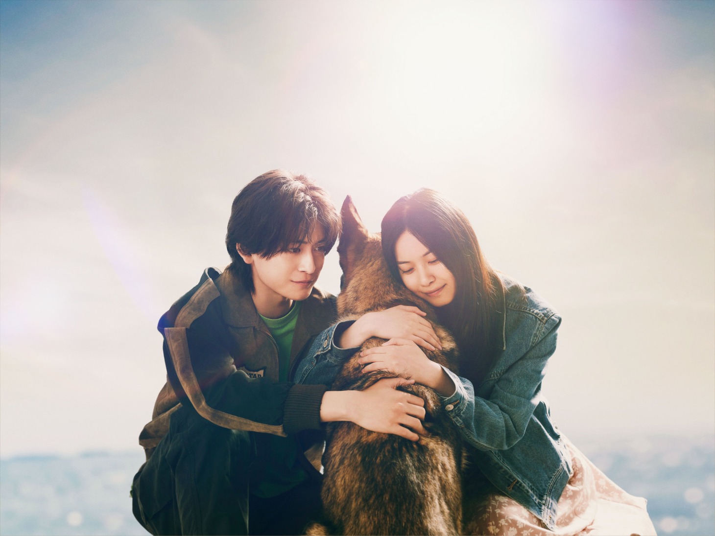 映画「少年と犬」スーパーティザービジュアル