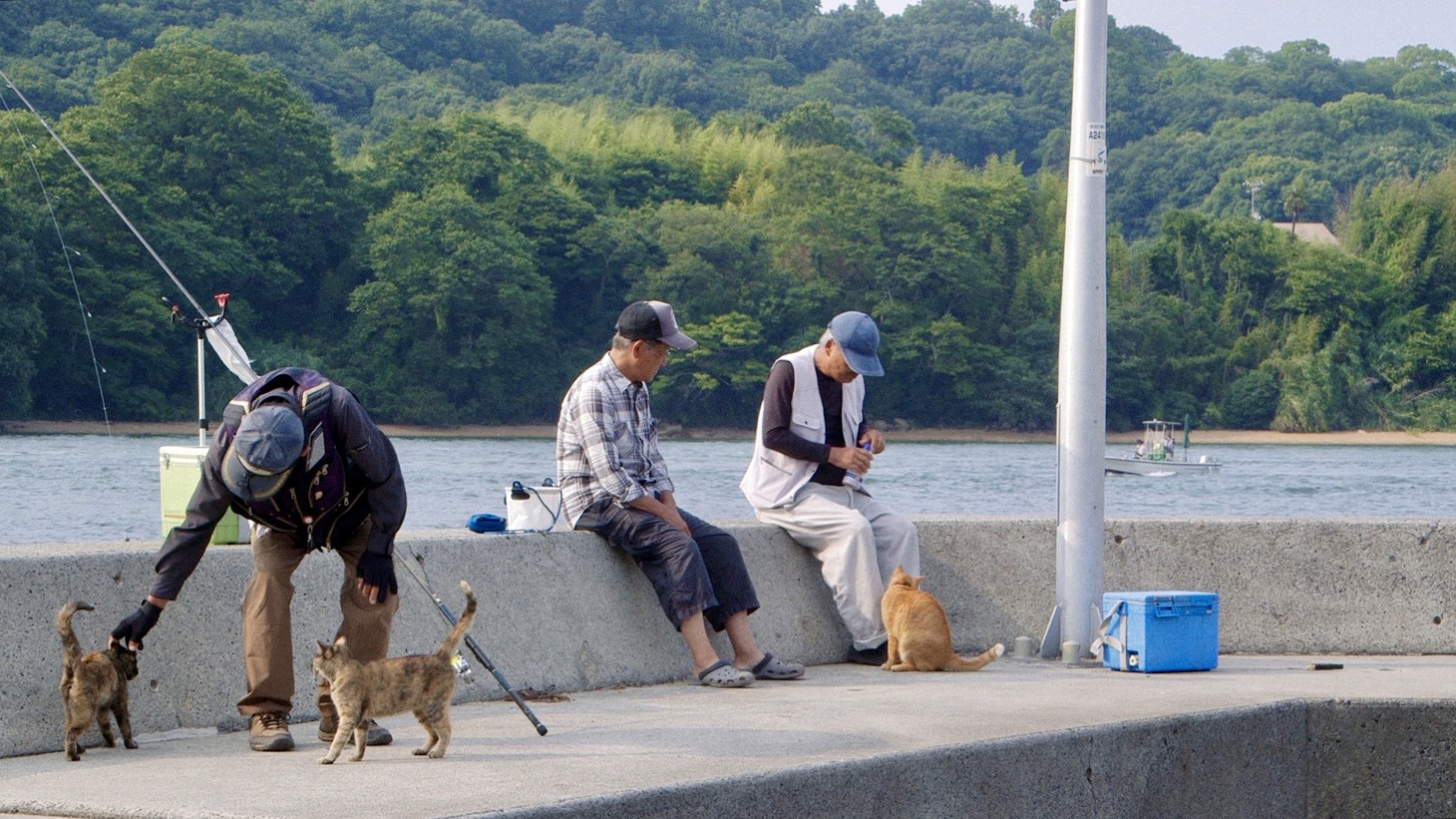 「五香宮の猫」新場面写真