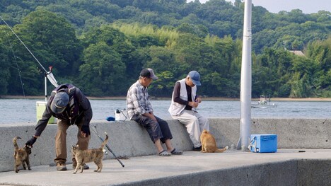 「五香宮の猫」新場面写真