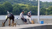 「五香宮の猫」場面写真