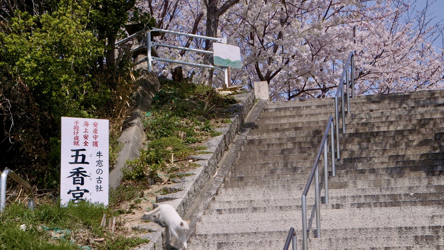 「五香宮の猫」新場面写真