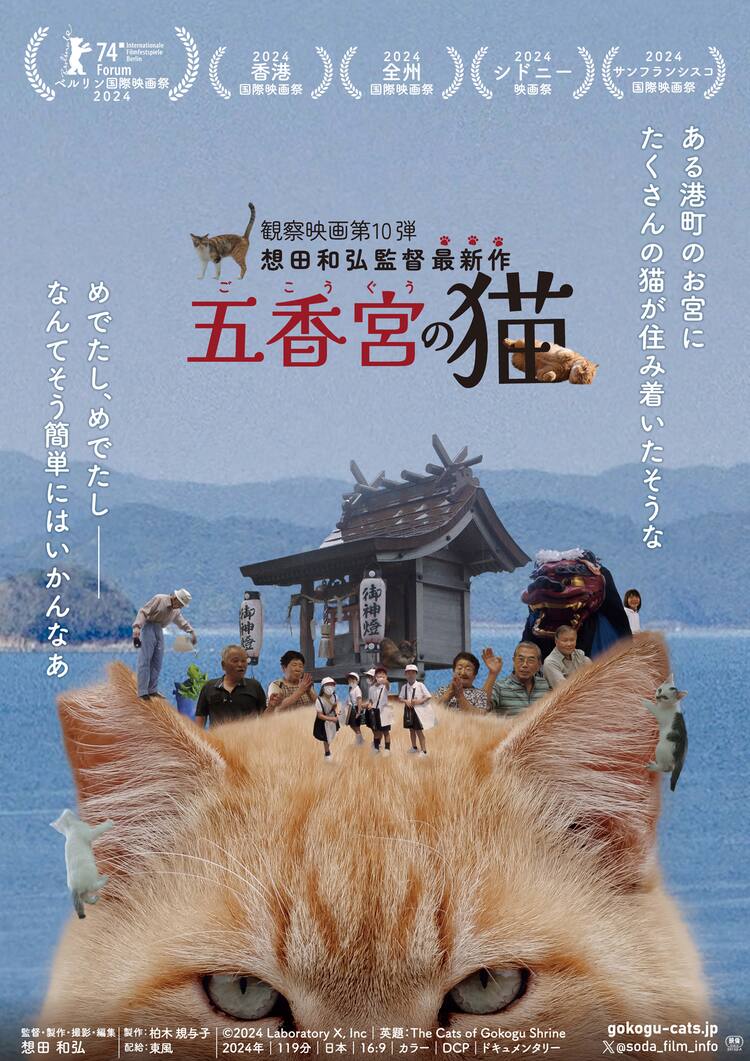 想田和弘の新作、小さな港町の営みにカメラを向けた「五香宮の猫」公開 