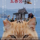 想田和弘の新作、小さな港町の営みにカメラを向けた「五香宮の猫」公開日決定