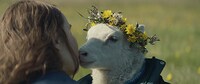 「LAMB／ラム」場面写真 (c)2021 GO TO SHEEP, BLACK SPARK FILM &TV, MADANTS, FILM I VAST, CHIMNEY, RABBIT HOLE ALICJA GRAWON-JAKSIK, HELGI JÓHANNSSON